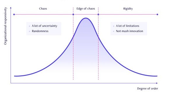 The meme is an image of a graph showing the relationship between chaos and order, with the x-axis labeled "Time" and the y-axis labeled "Organization". The graph shows a curve that starts high on the left (chaos) and gradually decreases to a low point in the middle (order), before increasing again on the right (chaos). The text "In theory, theory and practice are the same. In practice, they are not." appears at the bottom of the graph.